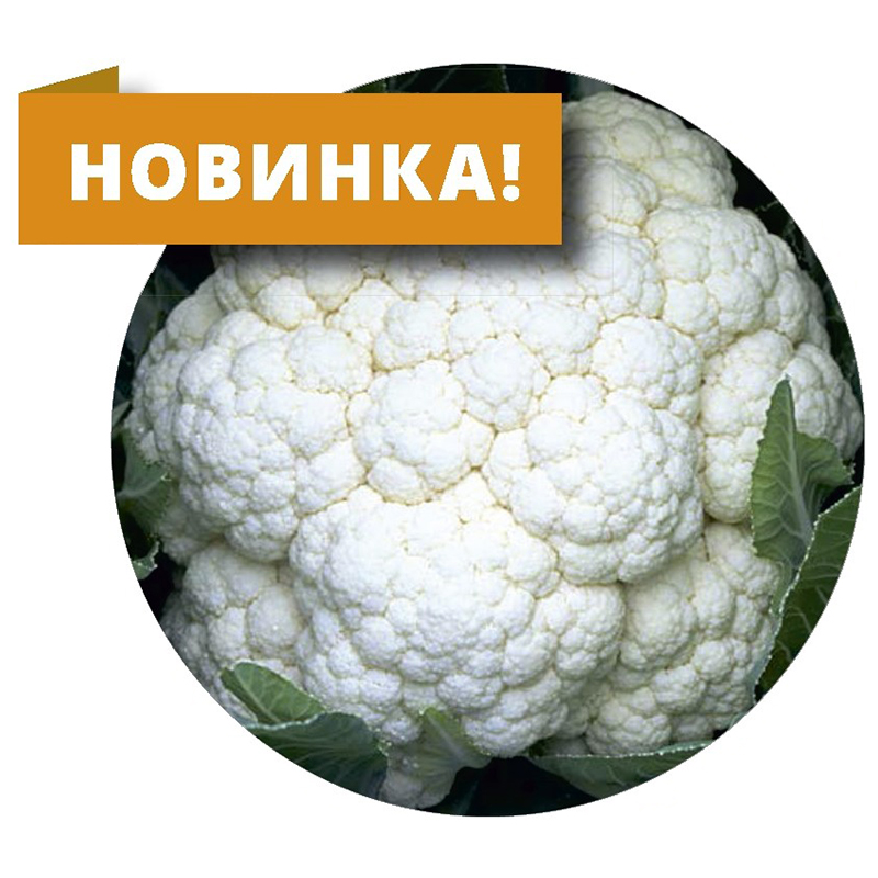 СВ 5818 АЦ F1