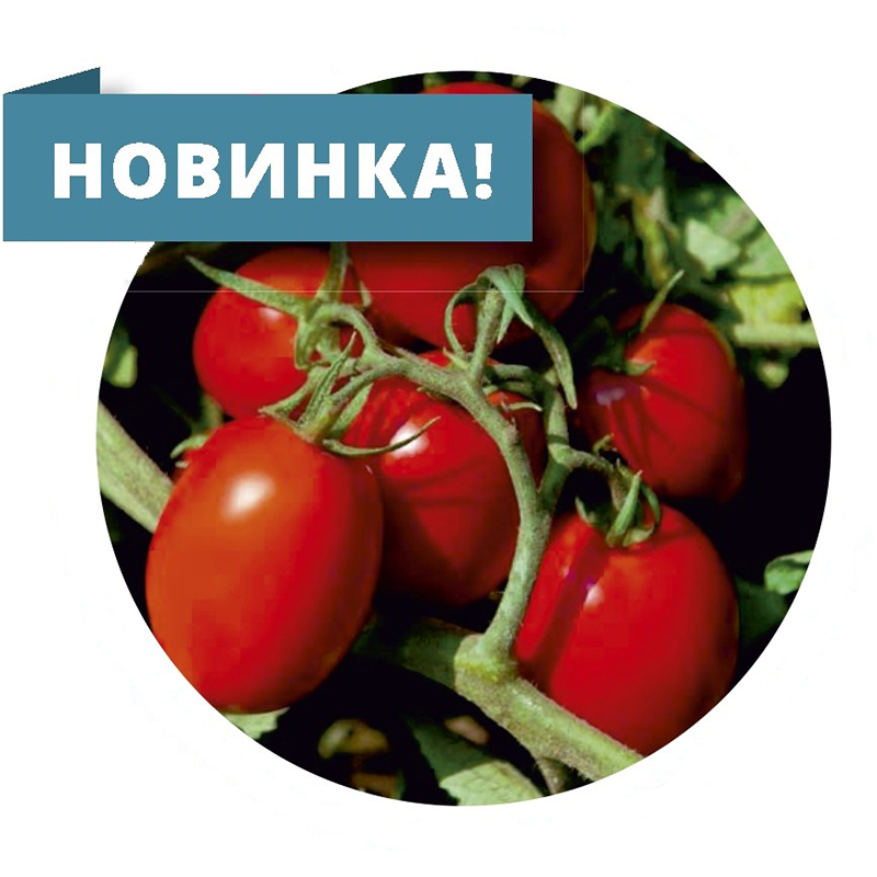Велоз F1